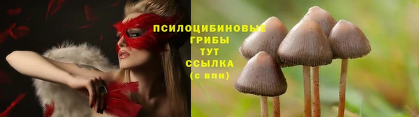 молекула духа Лихославль
