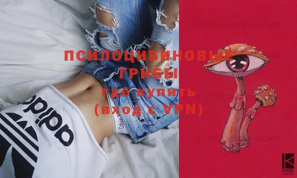 молекула духа Лихославль