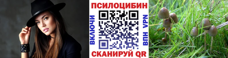 Галлюциногенные грибы Psilocybine cubensis Заозёрный